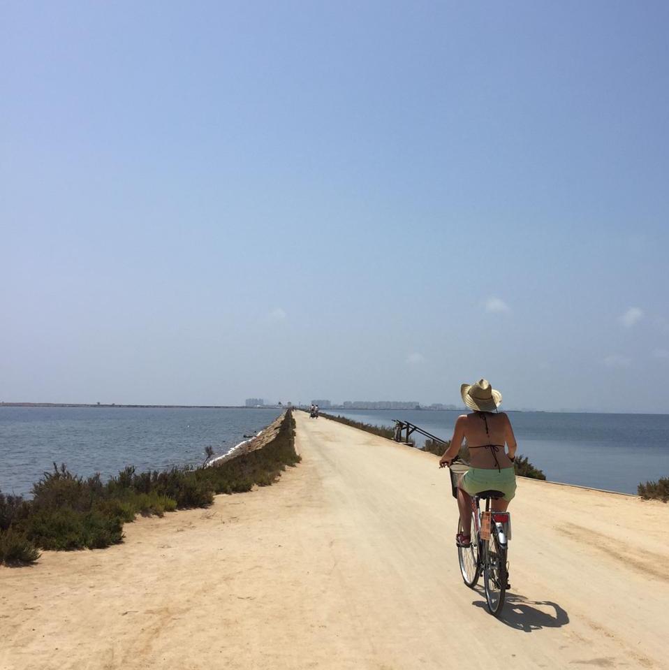 Imatge of a person cicling an elevated earth path over two water surfaces.