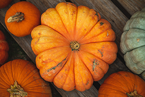 Photo of some lovely autumn squash by Luke Southern